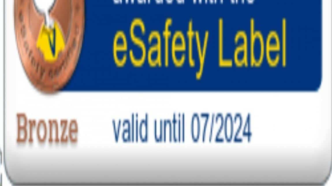 E Safety Label Bronz Etiketimiz 